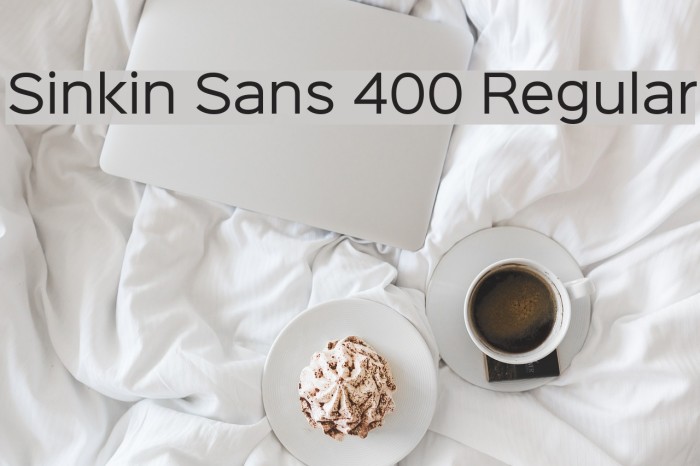 Sinkin Sans 400 Regular Font examples