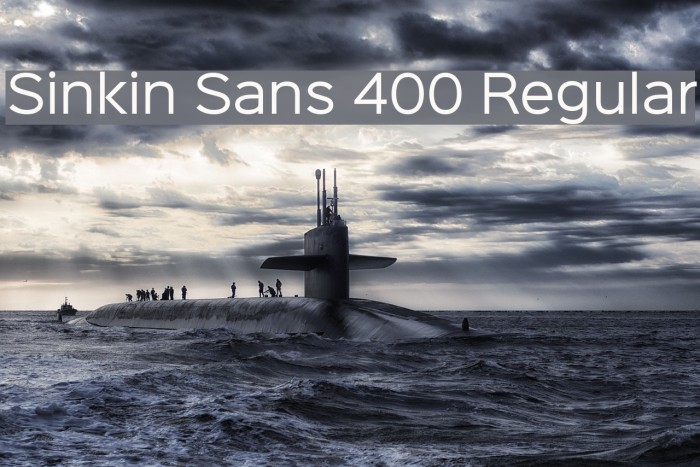 Sinkin Sans 400 Regular Font examples