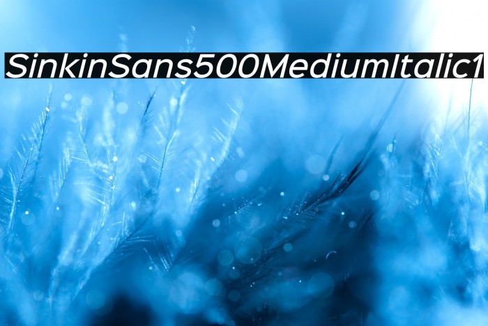 Sinkin Sans 500 Medium Italic1 Example 2