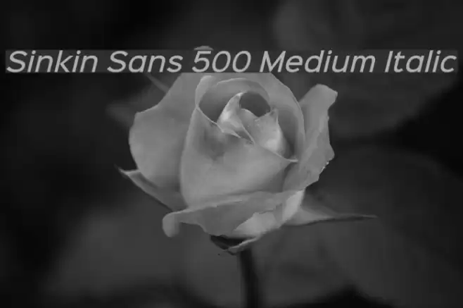 Sinkin Sans 500 Medium Italic Font examples