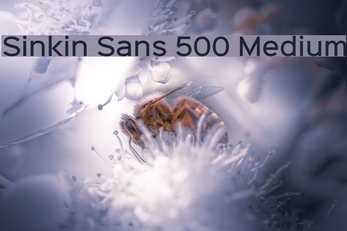 Sinkin Sans 500 Medium Font examples