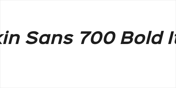 Sinkin Sans 700 Bold Italic Logo