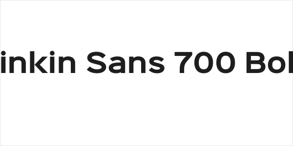 Sinkin Sans 700 Bold Logo