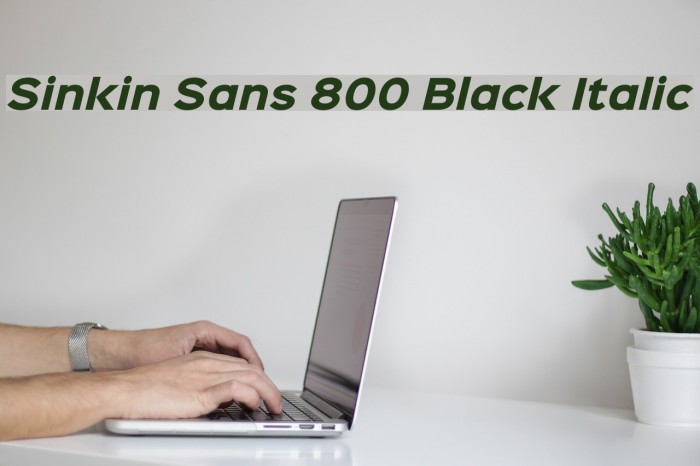 Sinkin Sans 800 Black Italic Polices examples