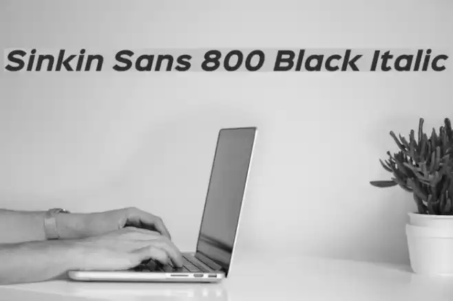 Sinkin Sans 800 Black Italic Polices examples