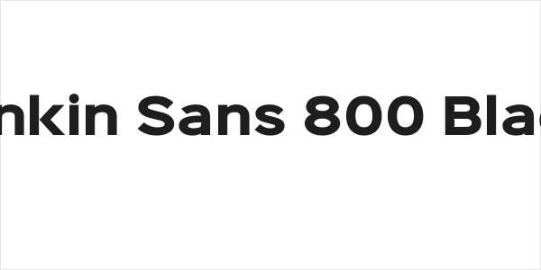 Sinkin Sans 800 Black Logo