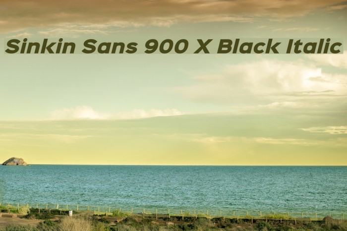 Sinkin Sans 900 X Black Italic Polices examples