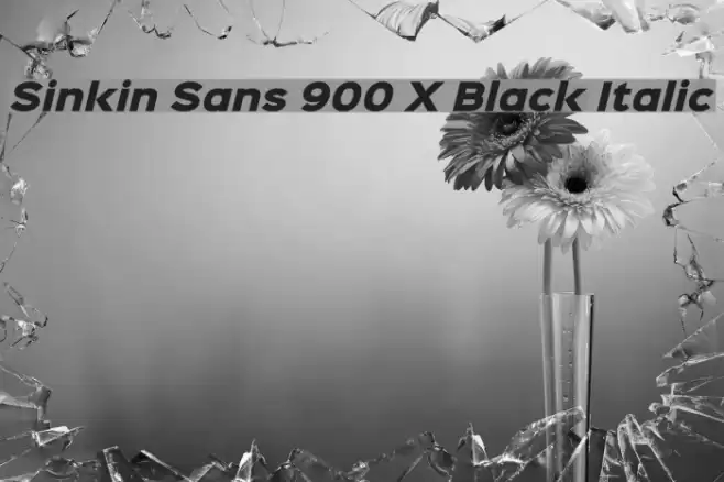 Sinkin Sans 900 X Black Italic Polices examples