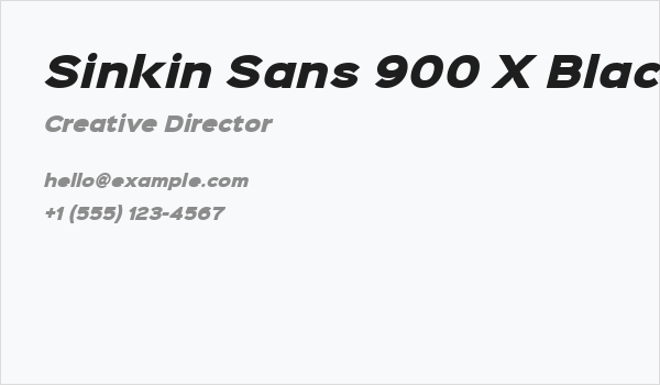 Sinkin Sans 900 X Black Italic Business Card