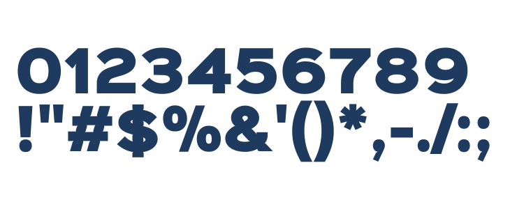 Sinkin Sans 900 X Black Other Characters