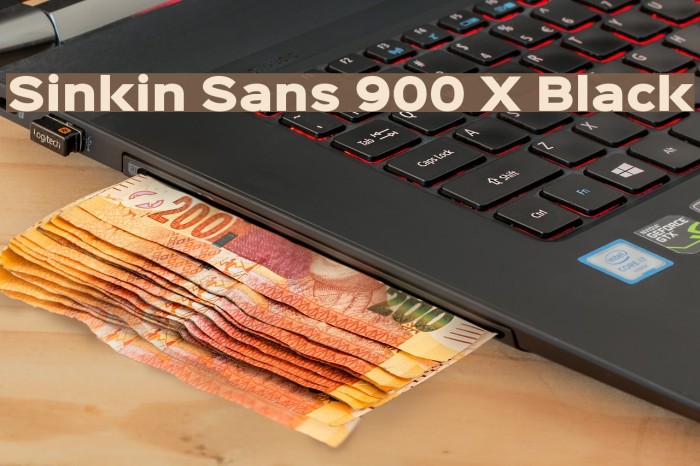 Sinkin Sans 900 X Black Example 1