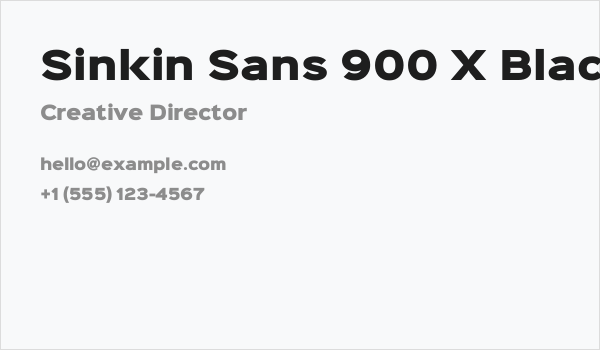 Sinkin Sans 900 X Black Business Card