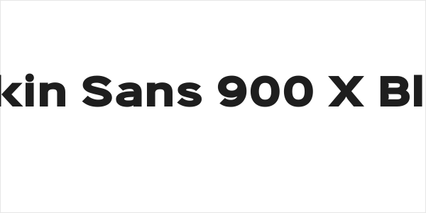 Sinkin Sans 900 X Black Logo