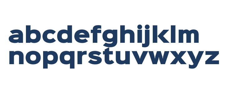 Sinkin Sans 900 X Black Lowercase