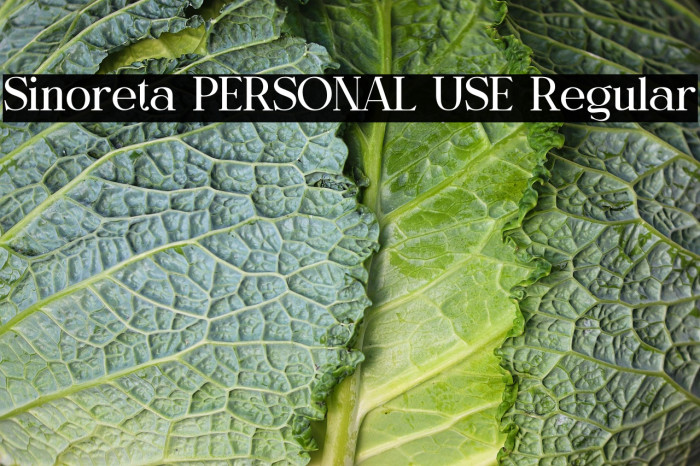 Sinoreta PERSONAL USE Regular Example 2
