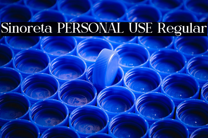 Sinoreta PERSONAL USE Regular Example 3
