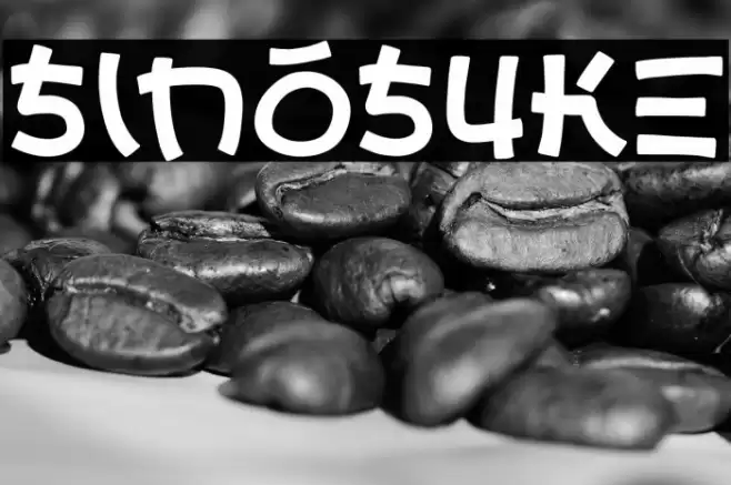 Sinosuke Caratteri examples