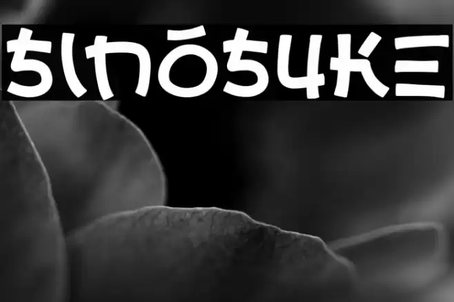 Sinosuke Caratteri examples