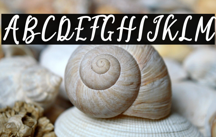 Sinta Bella Example 2