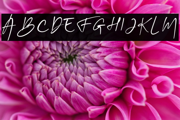 Sinta Mellia Example 1