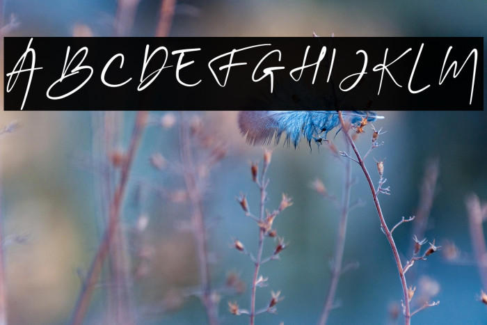 Sinta Mellia Example 2