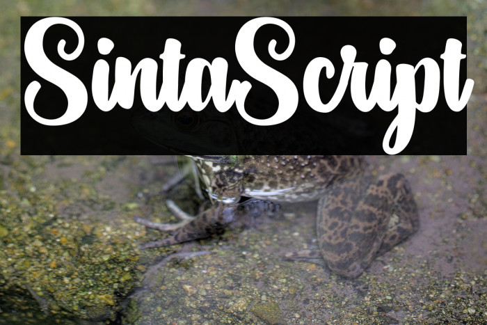 SintaScript Example 1