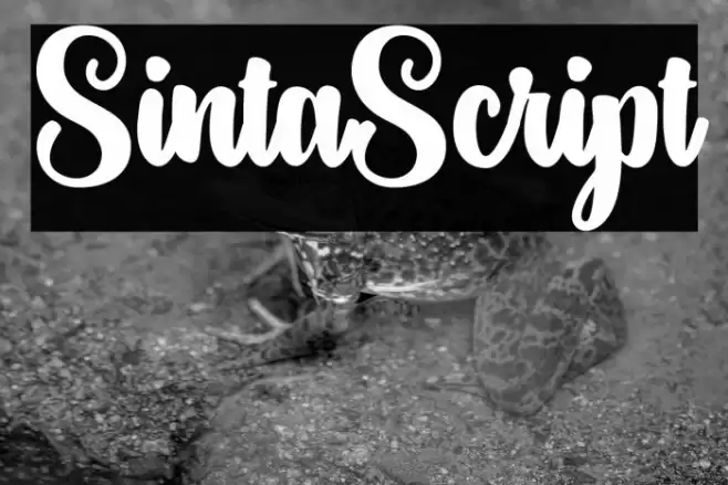 SintaScript Шрифта examples