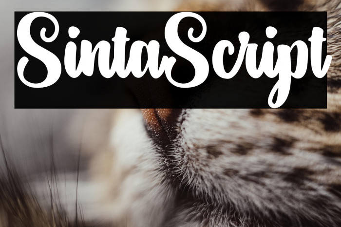 SintaScript Example 3