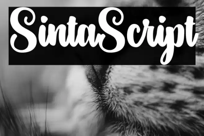 SintaScript Шрифта examples