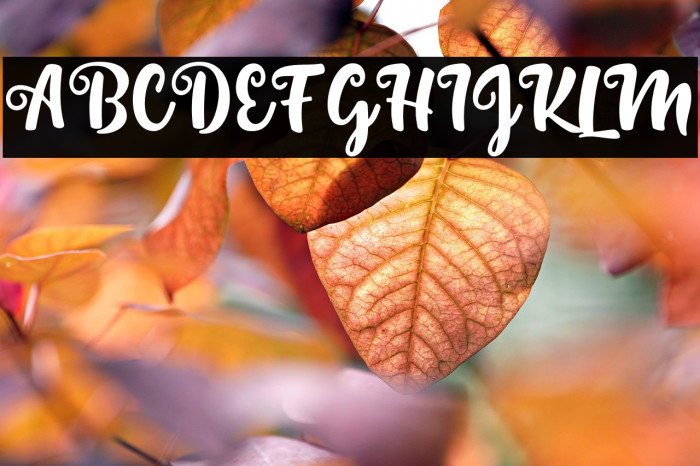 SintaScript Example 1