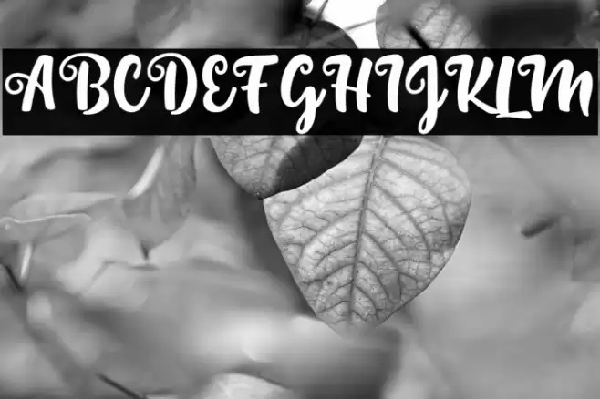 SintaScript Polices examples