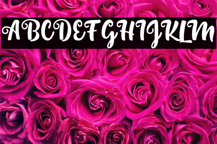 SintaScript Example 2