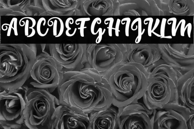 SintaScript Polices examples