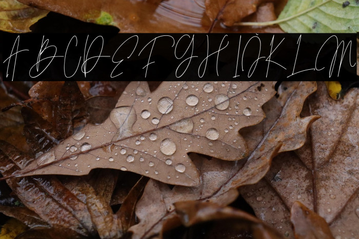 Sintha Moqen Example 1