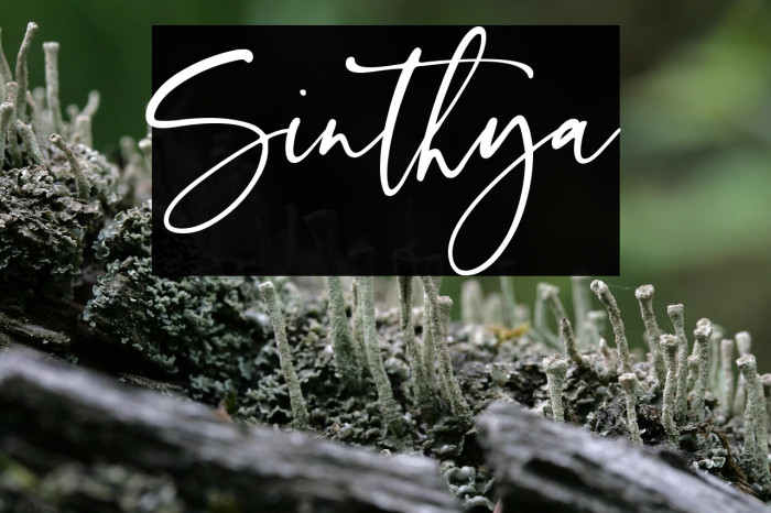 Sinthya Example 2