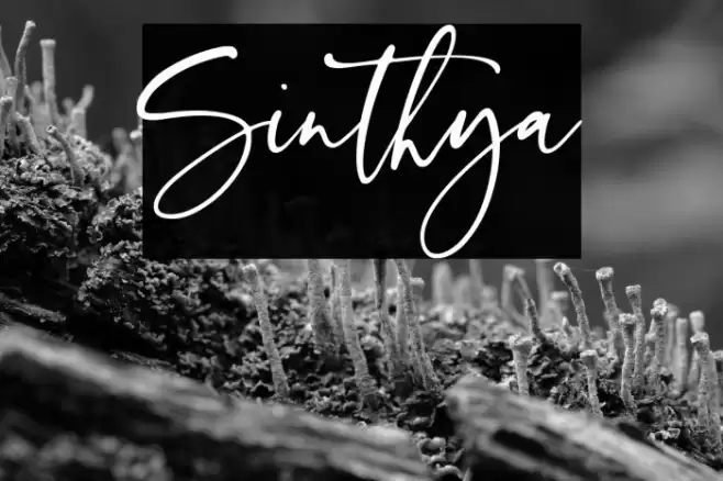 Sinthya Font examples
