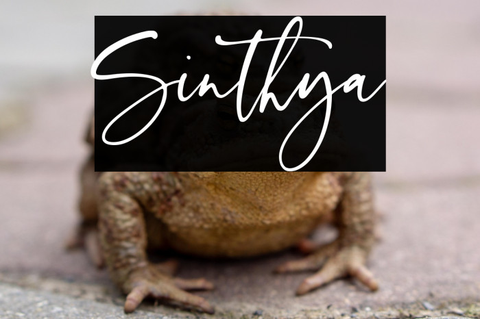 Sinthya Example 3