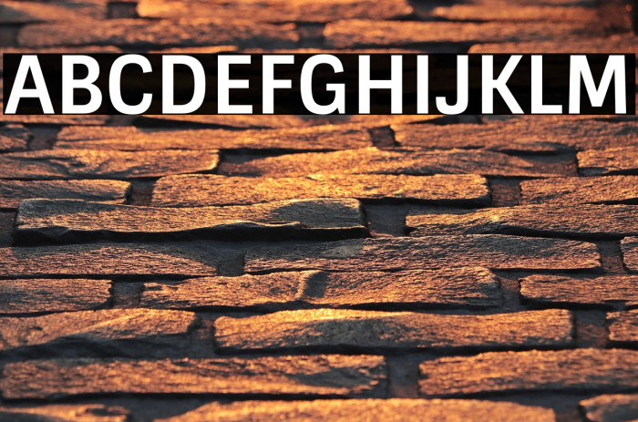 Sintony Bold Example 2