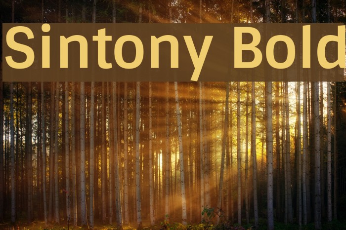 Sintony Bold Font examples