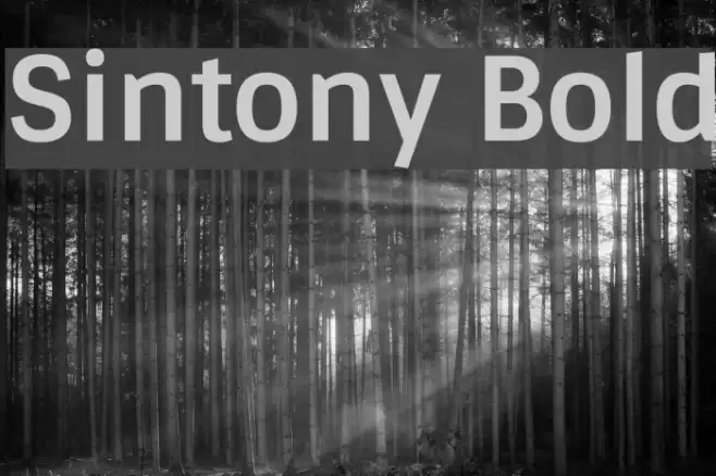 Sintony Bold Font examples