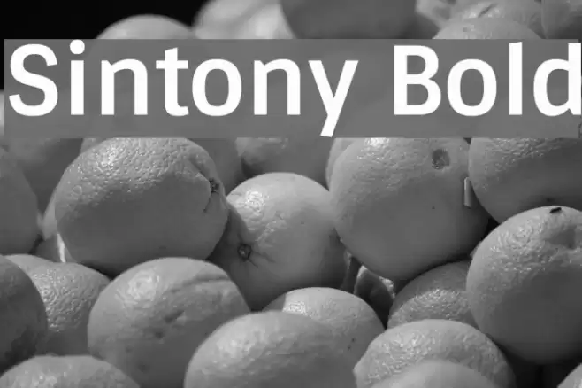 Sintony Bold Font examples