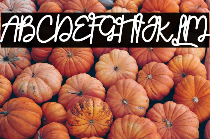 Sinttesy Demo Example 1