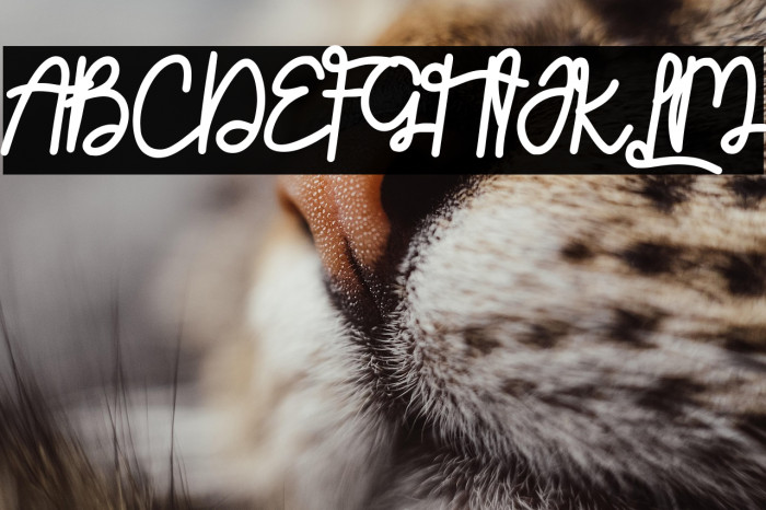 Sinttesy Demo Example 2