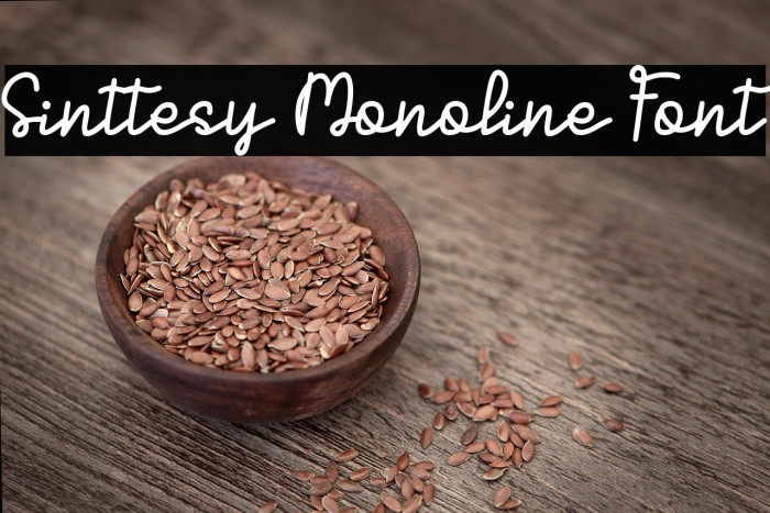 Sinttesy Monoline Font Example 1
