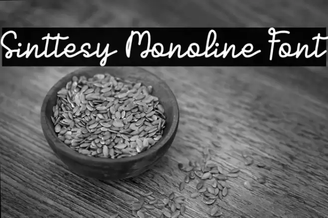 Sinttesy Monoline Font Schriftart examples