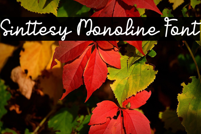 Sinttesy Monoline Font Example 3