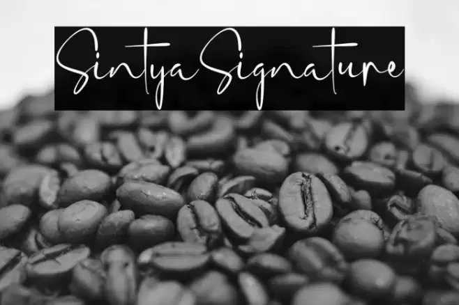 SintyaSignature Font examples