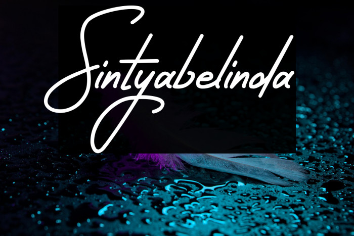 Sintyabelinda Example 2