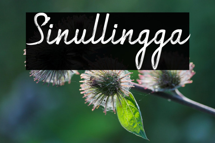 Sinullingga Example 2