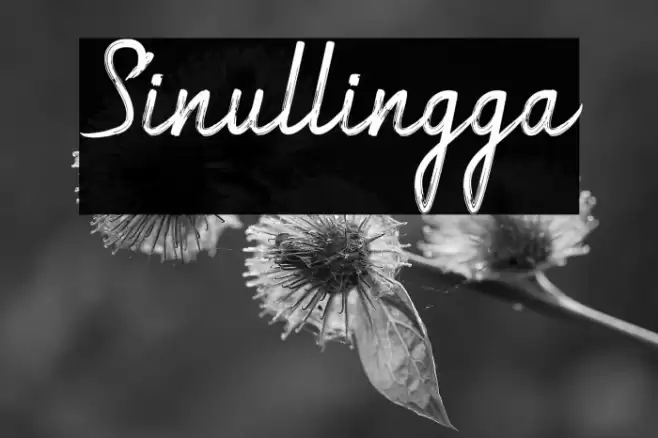 Sinullingga Font examples